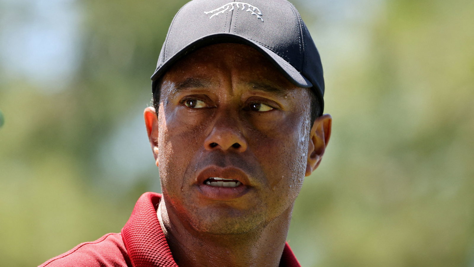 Tiger Woods 